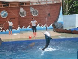 Taman Safari Batang Dolphin Center Mulai Dibuka, Pengunjung Harus Penuhi Syarat Ini
